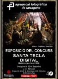 Exposició Santa Tecla Digital'10