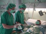 L’activitat global de trasplantaments augmenta i disminueixen les negatives a la donació d’òrgans