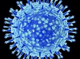 Catalunya entra en fase epidèmica de grip A, que enregistra la primera mort a Reus pel virus