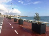 El Port crea més espai verd al Passeig Marítim del Miracle